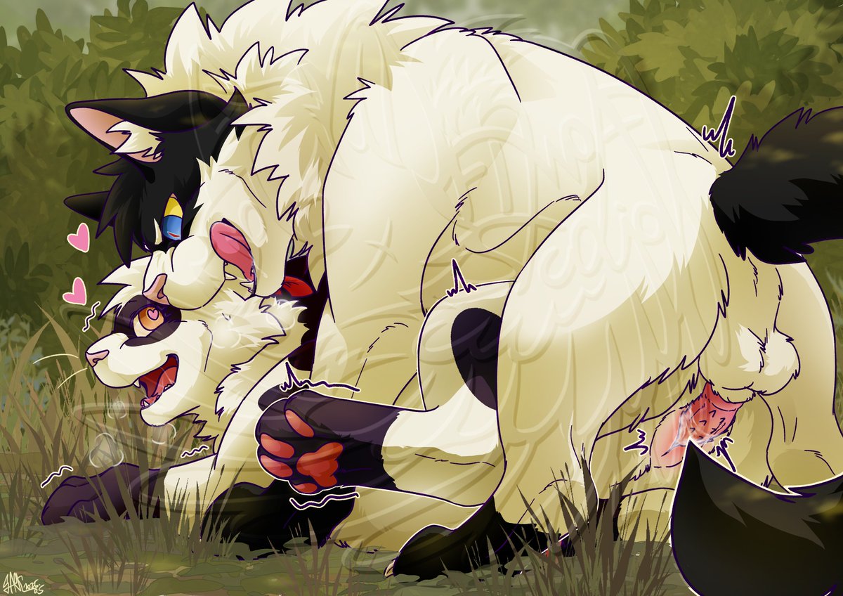 【付費委託/R18】
躲藏在草叢中的激戰，小貓咪們看起來玩得很開心呀❤

#furry #furryart #Commission #commisionart #kemono #ケモノ #Yiff #R18