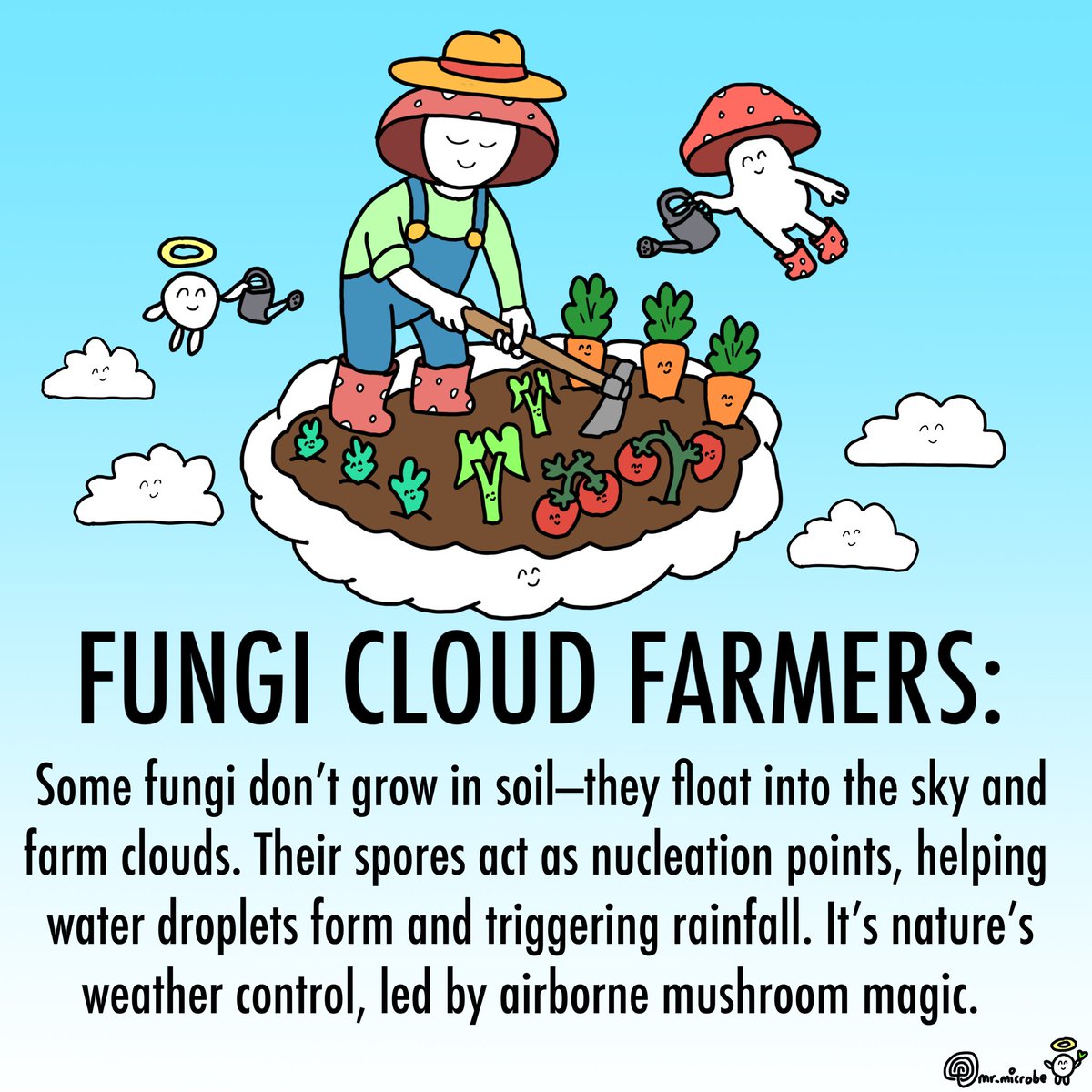 mrmicrobe44's tweet image. Daily art challenge day #884, fungi cloud farming 🍄☁️👩‍🌾

#FungiMagic #MushroomFacts #CloudSeeding #NatureIsWild #FungiFarmers #SoilToSky #RegenerativeAg #MycoRain #SporeScience #EcoWeather #HiddenEcosystems #FungalNetwork #MicrobialWorld #NatureNerd #SoilScience #FungiFriday