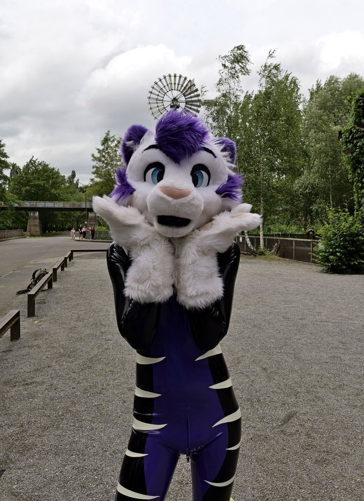 A rubber tiger is the best tiger!
Where are my rubberfurs?
#FursuitFriday