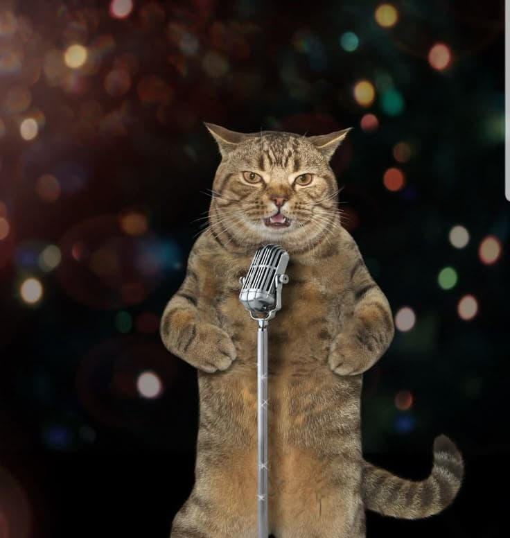 Diki Setiawan tweet media