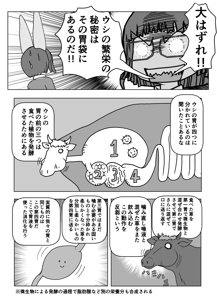 色々と誤解されてそうな動物を漫画で解説していくぞい。  第40回「ウシ」2/2 #クック先生の動物講座 #漫画が読めるハッシュタグ #マンガが読めるハッシュタグ #牛 
