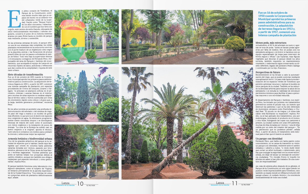 En el semanario de Lanza paseamos esta semana por el Parque de la Constitución de Tomelloso, una joya botánica que evoluciona con la ciudad. #Tomelloso #lamancha