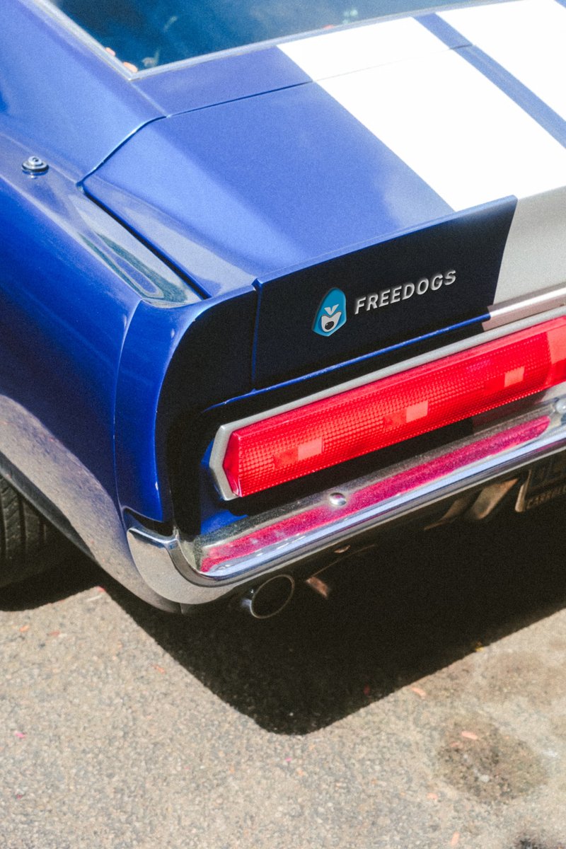 Imagine this: when you're driving an insanely cool Freedogs car.