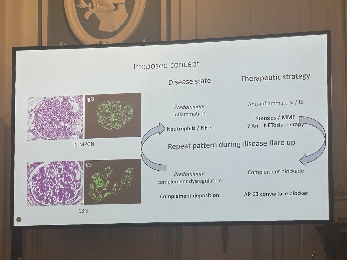 ISGD_la's tweet image. 👉🏻 Complementopatías - GMP

💡 El estudio y tratamiento debe incluir vías canónicas y no canónicas de daño glomerular

🎯 Futuras terapias deben estar dirigidas no solo a las vías del complemento

Dr. Christopher Licht

#PodocyteConference
@ISGDtweets
@PodocyteIPC