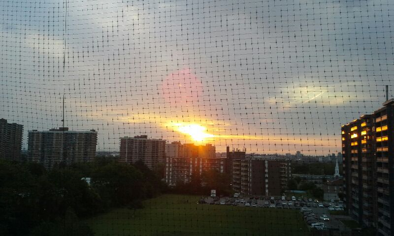 Really Mysterious (@reallymysterio1) on Twitter photo This morning's sunrise 💛🧡🩷💜<a href="/FaveRit2/">💙🌻 Patti Cakes 🌻💙</a> <a href="/jcae2008/">MzJd ❤📚☕🪷🐢</a> <a href="/Mamacoopah/">Teresa Cooper 💟</a> <a href="/TeacherTeeK_3/">🍎Teacher Tee runs the Library📚📖📒📝</a> <a href="/bobswife64/">Principessa Sandra</a> <a href="/MichaelCressw14/">Anne Cresswell</a> <a href="/LauraRiggaro/">Laura Riggaro</a> <a href="/LaTigresseblanc/">Bea🦋💙🦋</a> <a href="/RBlooms2021/">RavenBlossoms💜🌼☮️🌊🇺🇸🇺🇦🏳️🌈🏳️⚧️</a> <a href="/Carol_Cook78/">Colorado Gal</a> <a href="/robfromlalaland/">Robfromlalaland</a> <a href="/Windyla6/">Windyla</a> <a href="/lainla/">LAinLA</a> <a href="/gmai_dan/">MyName IsNext</a> <a href="/gcccmharding/">Matthew Harding</a> <a href="/8spider22/">Anthony Walker</a> <a href="/douglukauskas/">Doug Lukauskas</a> <a href="/LaurieLyricalG/">Laurie Hardman</a> <a href="/Emi4VoteBlue/">🌊💙🌊Emi #VoteBlue2026🌊✊🌊</a> This morning's sunrise 💛🧡🩷💜<a href="/FaveRit2/">💙🌻 Patti Cakes 🌻💙</a> <a href="/jcae2008/">MzJd ❤📚☕🪷🐢</a> <a href="/Mamacoopah/">Teresa Cooper 💟</a> <a href="/TeacherTeeK_3/">🍎Teacher Tee runs the Library📚📖📒📝</a> <a href="/bobswife64/">Principessa Sandra</a> <a href="/MichaelCressw14/">Anne Cresswell</a> <a href="/LauraRiggaro/">Laura Riggaro</a> <a href="/LaTigresseblanc/">Bea🦋💙🦋</a> <a href="/RBlooms2021/">RavenBlossoms💜🌼☮️🌊🇺🇸🇺🇦🏳️🌈🏳️⚧️</a> <a href="/Carol_Cook78/">Colorado Gal</a> <a href="/robfromlalaland/">Robfromlalaland</a> <a href="/Windyla6/">Windyla</a> <a href="/lainla/">LAinLA</a> <a href="/gmai_dan/">MyName IsNext</a> <a href="/gcccmharding/">Matthew Harding</a> <a href="/8spider22/">Anthony Walker</a> <a href="/douglukauskas/">Doug Lukauskas</a> <a href="/LaurieLyricalG/">Laurie Hardman</a> <a href="/Emi4VoteBlue/">🌊💙🌊Emi #VoteBlue2026🌊✊🌊</a>