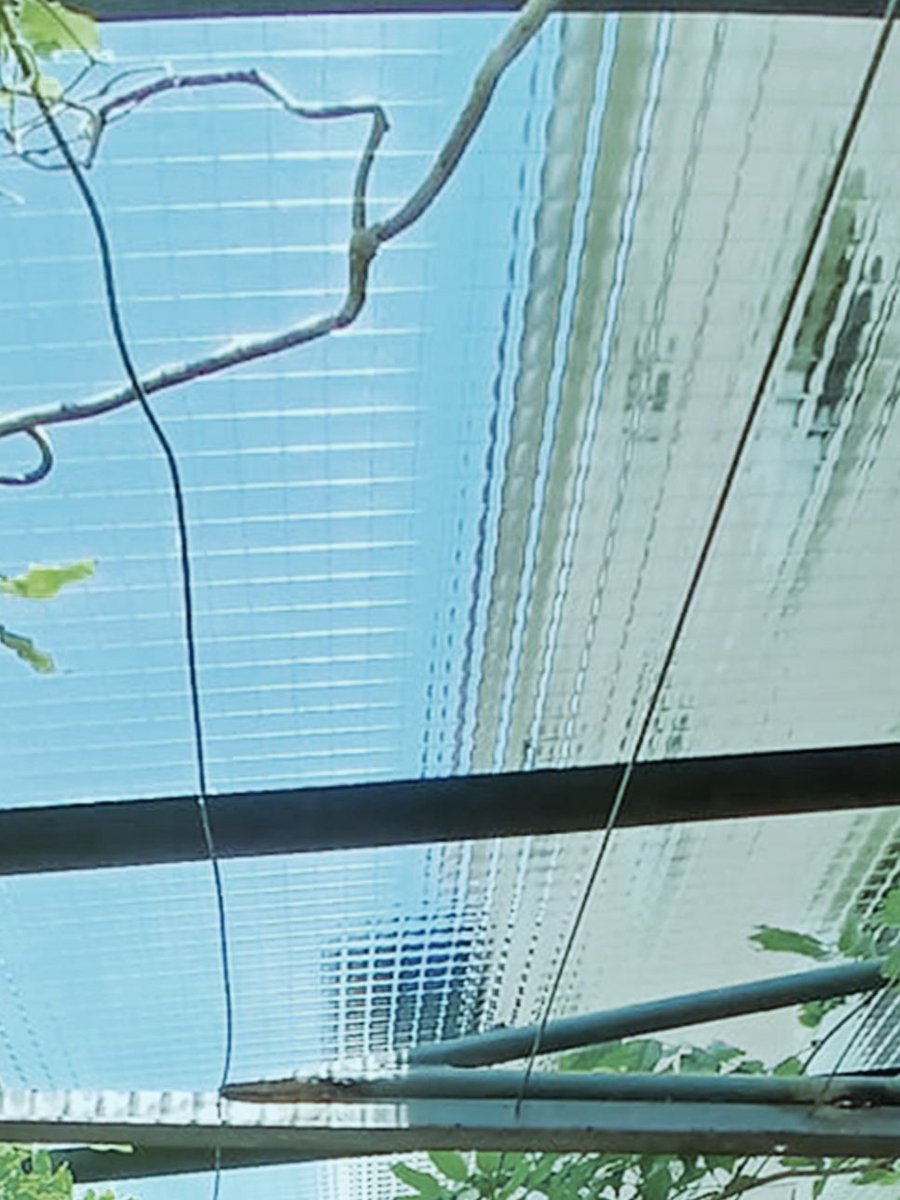 vidresberni's tweet image. Instal·lació de marquesina de vidre translúcid amb estructura metàl·lica.
Donem confort a un espai acollidor i de pau com és el jardí de l’hotel Primero Primera, situat a una zona exclusiva i tranquila de bcn.

#hotel #vidre #instal•lacio #marquesina