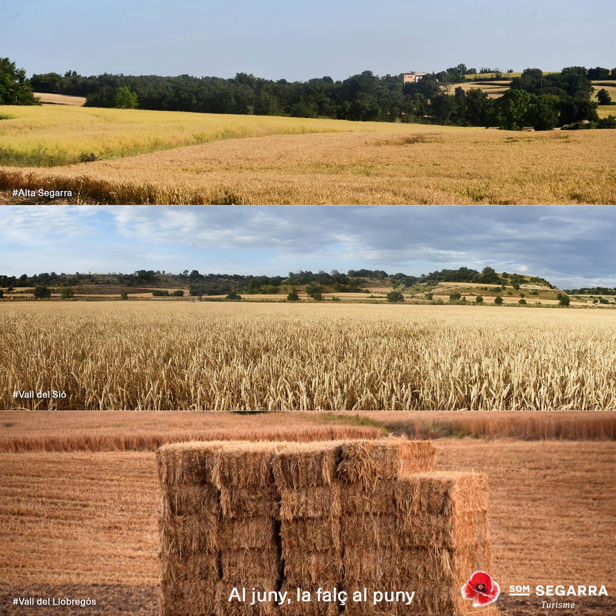 SomSegarra's tweet photo. Sense plans per al cap de setmana? #concert #festes #iesso #poesia #teatre #xerrada #pedraseca #expos #visites, viu la #primaverasegarra!
@lasegarra @brufaganya @paeriacervera @TurismeGuissona @museudecervera @CConcabella @7lletres  @Espitllera
ℹ️ https://t.co/8ZHEiD1Ad2 https://t.co/krCgLSG1R9