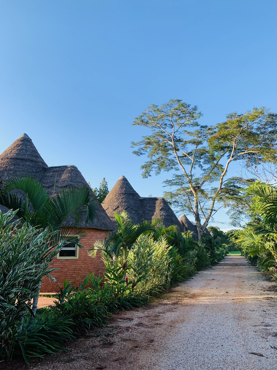 BangaResort's tweet image. A view worth pausing for. A trail worth every step.😏

For reservations:+256-779756073

#BangaBayBeachResort. #Serenity