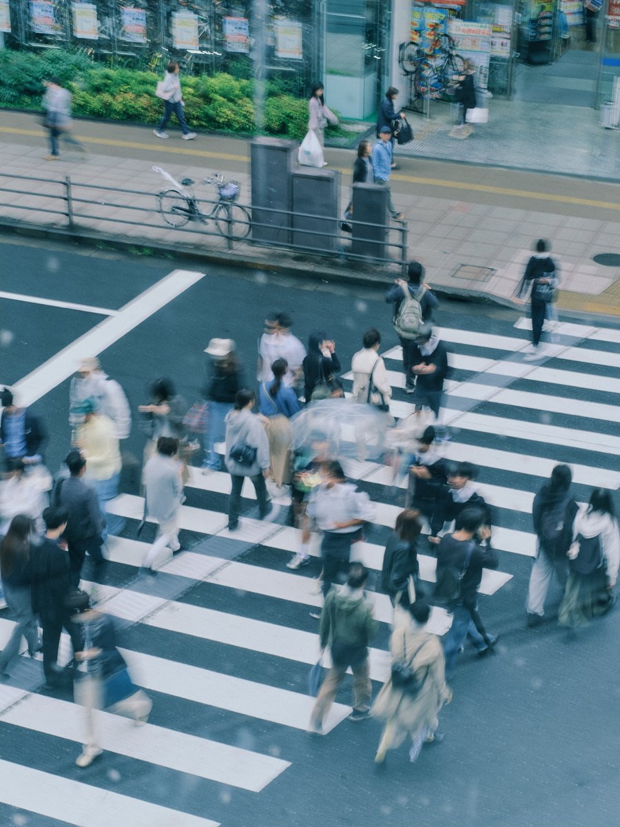 白坂 理帆 | Riho Shirasaka tweet media