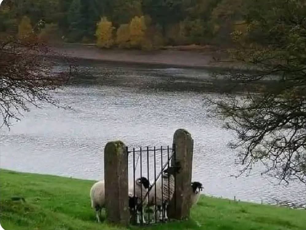 أفتحوا الحدود يا مصاروة باش نحرر القدس #الحرب_العالميه_الثالثه
#Israel 
#Tehran