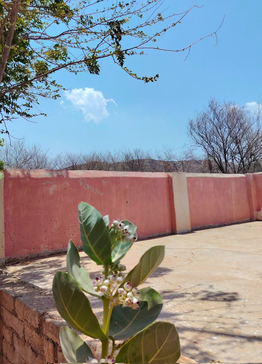 وتشاء انت من #البشائر قطرة ويشاء الله أن يغيثك ب #المطر