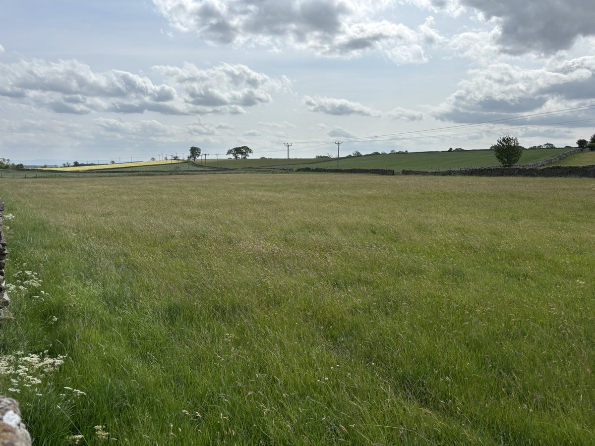 Grinton smallholder (@sharpr1966) on Twitter photo Under my SFI agreement which runs until 2028, I get payed to not mow or graze these meadows for 10 weeks.
I couldn’t be happier than to spot 4 curlew chicks through my binoculars earlier. Sword is a perfect hight for cover
First clutch were eaten by jackdaws. Under my SFI agreement which runs until 2028, I get payed to not mow or graze these meadows for 10 weeks.
I couldn’t be happier than to spot 4 curlew chicks through my binoculars earlier. Sword is a perfect hight for cover
First clutch were eaten by jackdaws.