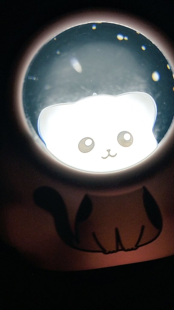 cocacelo's tweet photo. astrocat https://t.co/wleTGl7pZb