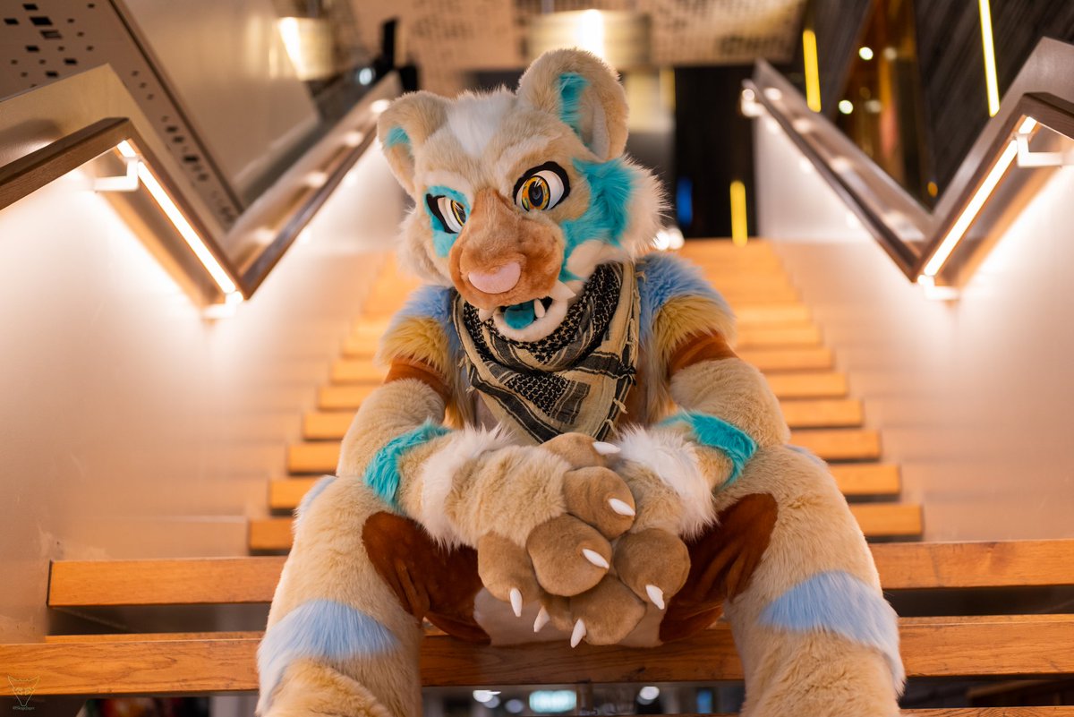 Selling my fluffy soft cuddle suit .

If anyone is interested please send me a message here , pm or hit me up on TG - amaroqthedragon.

I can give you all sizes .

Barely been worn , just don't and never really vibed with the character and I'm looking to send him to a good home💖