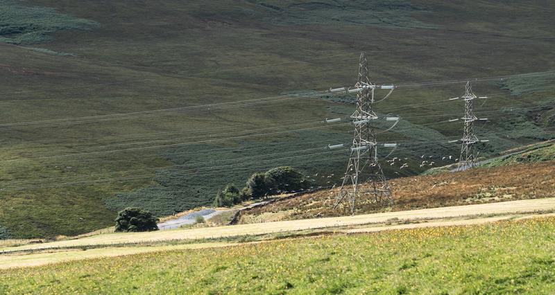 NFU members | A new electricity code of practice, published by <a href="/CAAVAgValuer/">CAAV</a>, <a href="/energynetworks/">Energy Networks Association (ENA)</a> &amp; <a href="/RICSnews/">RICS</a>, aims to ensure farmers and landowners involved in infrastructure projects on their land are properly &amp; fairly advised and represented.

Read more👉ow.ly/RISZ50W8tj7