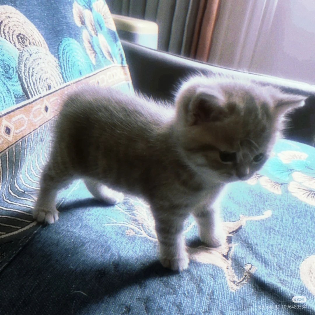 Look at his stance!!!