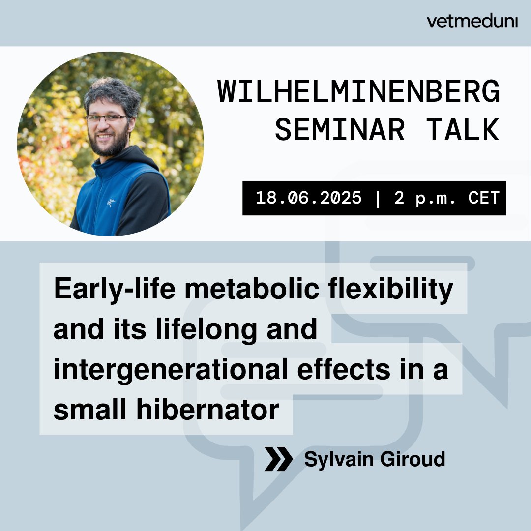 Nächster #WilhelminenbergSeminarTalk: 18.06. | 14:00 Uhr mit <a href="/SylvainGiroud/">Sylvain Giroud</a> /Northern  Michigan University
📍<a href="/FIWIvienna/">FIWI Vienna</a>, 1160 Wien oder online 👩‍💻
→ vetmeduni.ac.at/fiwi/seminar-a…
📢 Tipp für Studierende: Die Teilnahme wird als Wahlfach anerkannt! (KV 128 804)