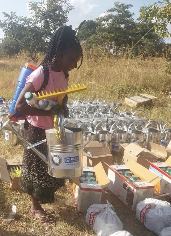 Supporting 306 young people trained in gardening &amp; entrepreneurship under #BRECSProject!
Distribution of tools is underway in Vubwi, Chadiza, Chisamba &amp; Kapiri to boost green enterprises.
Training also includes beekeeping, fish farming &amp; pig production.