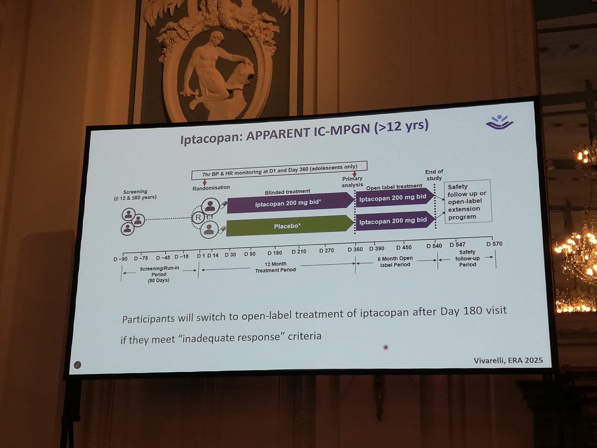 ISGDtweets's tweet image. Update of the current trials in complement-mediated glomerulopathies by Marina Vivarelli 🌟 Exclusive sneak peek into new trial data for #PodocyteConference attendants 🤓 🐙 @PodocyteIPC @Tobias_B_Huber @KSusztak @JochenReiser @rkramann @IPNA_PedNeph @EuRefNetwork