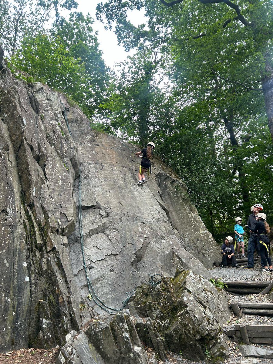 mattarnprimary tweet media