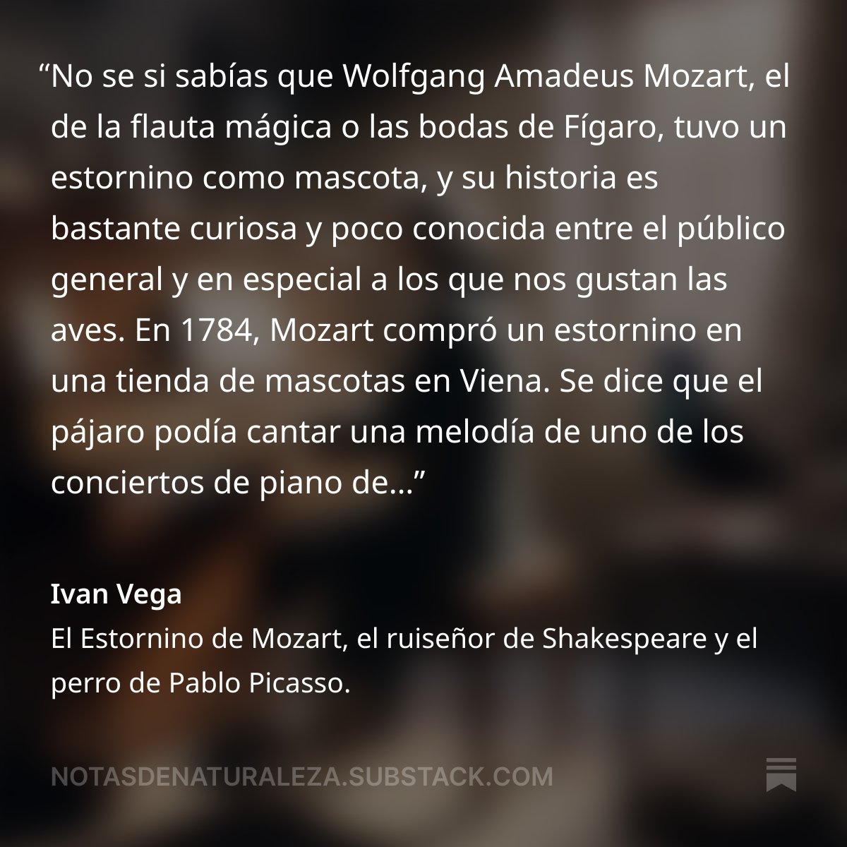holaivanvega's tweet image. El Estornino de Mozart, el ruiseñor de Shakespeare y el perro de Pablo Picasso.
Puedes leer la edición completa en la newsletter.