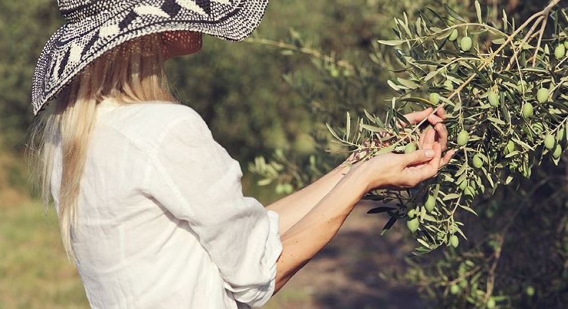 Oleoturismo: la Puglia approva la Legge Regionale. Città dell’Olio interlocutore diretto della Regione
cittadellolio.it/2025/06/13/ole…