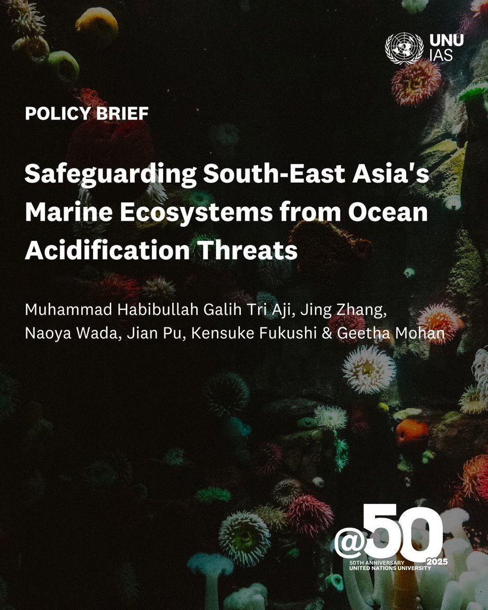 UN University (@ununiversity) on Twitter photo 🪸 The Southeast Asia region is particularly vulnerable to #OceanAcidification.
This policy brief from <a href="/UNUIAS/">UN University – IAS</a> provides recommendations on addressing the environmental and socio-economic impacts of ocean acidification in the region: buff.ly/GqRwKpi
#SaveOurOcean #UNOC3 🪸 The Southeast Asia region is particularly vulnerable to #OceanAcidification.
This policy brief from <a href="/UNUIAS/">UN University – IAS</a> provides recommendations on addressing the environmental and socio-economic impacts of ocean acidification in the region: buff.ly/GqRwKpi
#SaveOurOcean #UNOC3