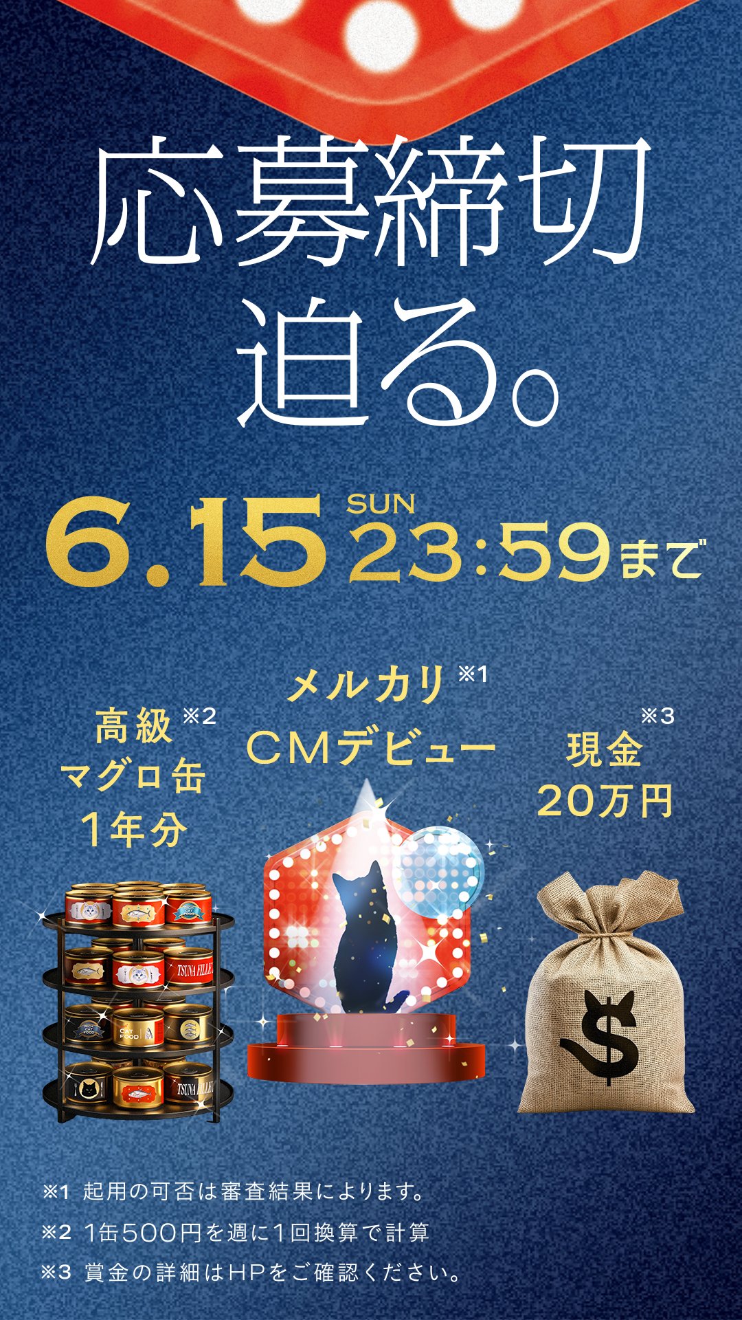 プラス月5万円で暮らしを楽にする超かんたんメルカリ | 宇田川
