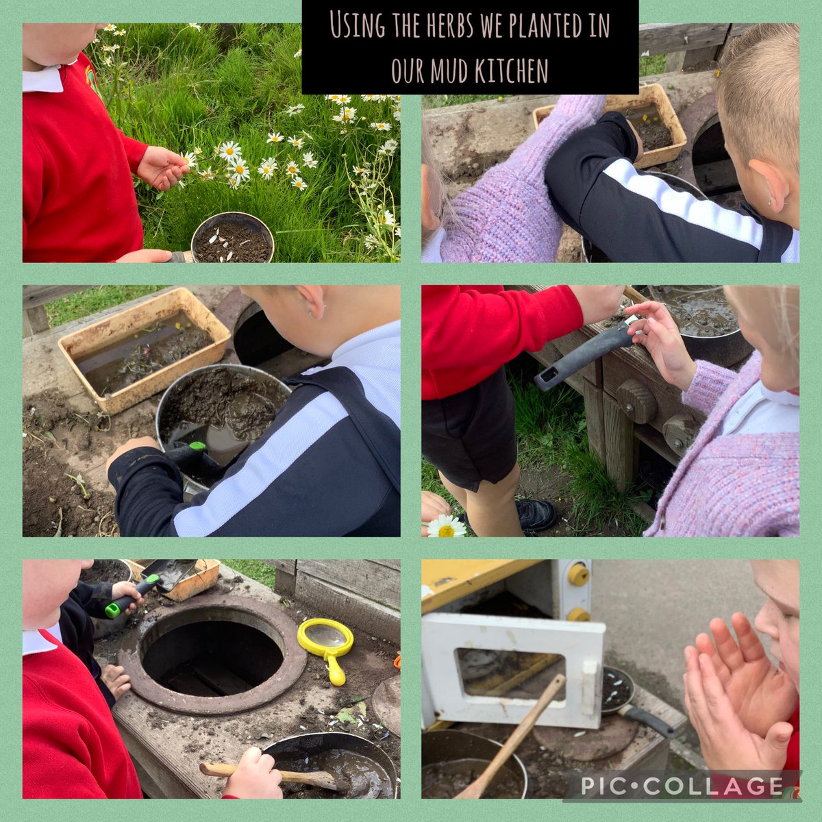 Dosbarth 3 having been using the herbs they’ve grown to cook in the mud kitchen 🪴<a href="/garntegprimary/">Garnteg Primary</a> <a href="/Miss_Mitchell20/">Miss.Mitchell</a> <a href="/MissBones90/">Miss Bones</a>