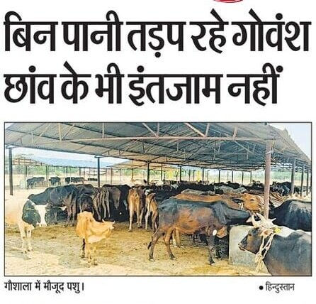 गौशालाओं में बिना चारा, बिना भूसा, बिना पानी के गौवंश तड़प रहे और मर रहे।

इनके चारे भूसे का पैसा मुख्यमंत्री योगी आदित्यनाथ जी के खासमखास पशुधन मंत्री धर्मपाल सिंह बेइमानी, भ्रष्टाचार करके खा जाते हैं? क्या योगी को आपको भी एक तयशुदा हिस्सा मिलता है जिसके कारण गौवंश मर रहे? कोई