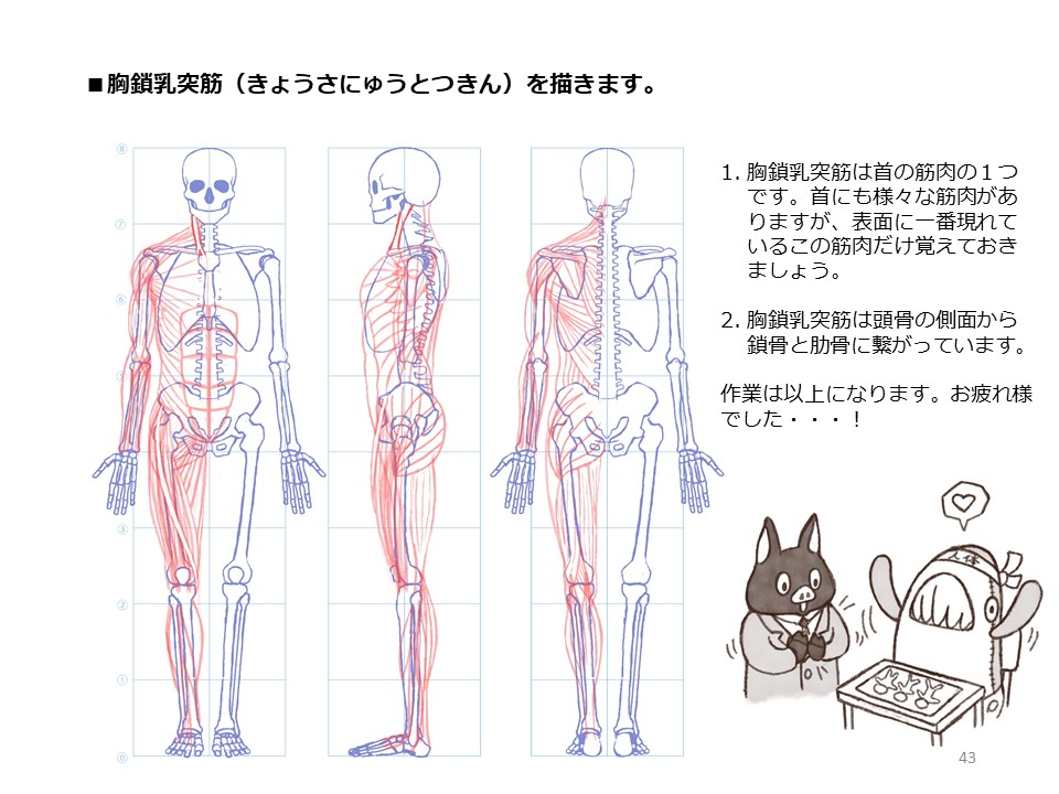 簡単マスター人体三面図(12/13)
フクラハギの筋肉などを描いて完成です…! お疲れ様でした!
PDF版のDLはこちら。
https://t.co/Eau7nCEvz0