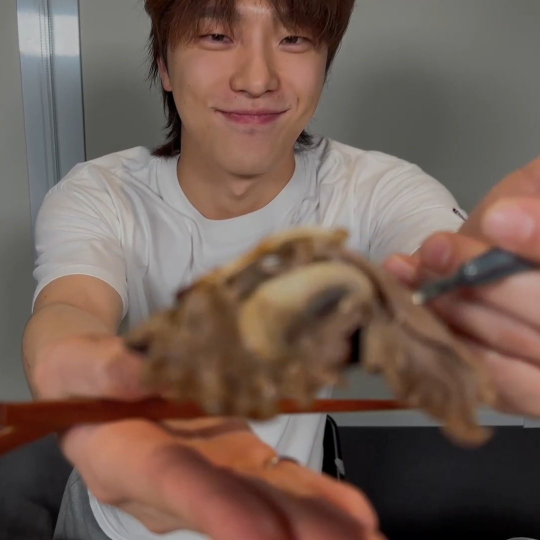 oh god im never escaping this parasocial relationship yall