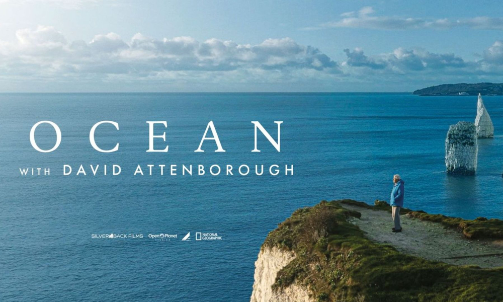 Next Thurs Film, 19 June, is  OCEAN with David Attenborough (PG). “This cracking, important,  documentary shows the otherworldly splendour of our planet's sea life –  and sets out the crisis that mortally threatens it”. The Telegraph. Part of Sustfest.
