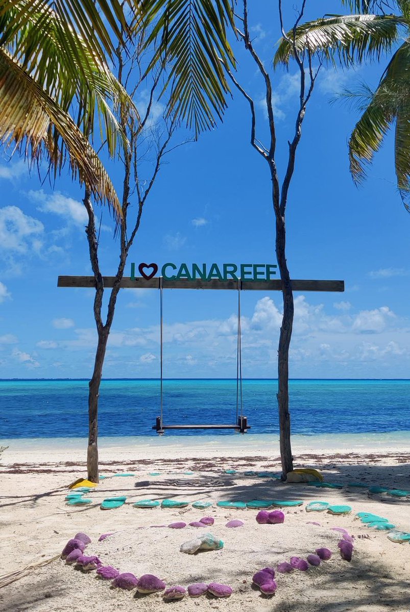 Canareef Resort Maldives (@canareef) on Twitter photo Feel the rhythm of the tropics as you swing beneath swaying palms and soak in the endless beauty of #Canareef Beach. ๐๐๐ฉ ๐ฉ๐๐ ๐๐จ๐ก๐๐ฃ๐ ๐๐ง๐๐๐ฏ๐ ๐๐ฃ๐ ๐ค๐๐๐๐ฃ ๐ซ๐๐๐๐จ ๐จ๐๐ฉ ๐ฎ๐ค๐ช๐ง ๐จ๐ฅ๐๐ง๐๐ฉ ๐๐ง๐๐ ๐โ๏ธ
๐ธ @pooja_s_19
#CanareefResortMaldives Feel the rhythm of the tropics as you swing beneath swaying palms and soak in the endless beauty of #Canareef Beach. ๐๐๐ฉ ๐ฉ๐๐ ๐๐จ๐ก๐๐ฃ๐ ๐๐ง๐๐๐ฏ๐ ๐๐ฃ๐ ๐ค๐๐๐๐ฃ ๐ซ๐๐๐๐จ ๐จ๐๐ฉ ๐ฎ๐ค๐ช๐ง ๐จ๐ฅ๐๐ง๐๐ฉ ๐๐ง๐๐ ๐โ๏ธ
๐ธ @pooja_s_19
#CanareefResortMaldives