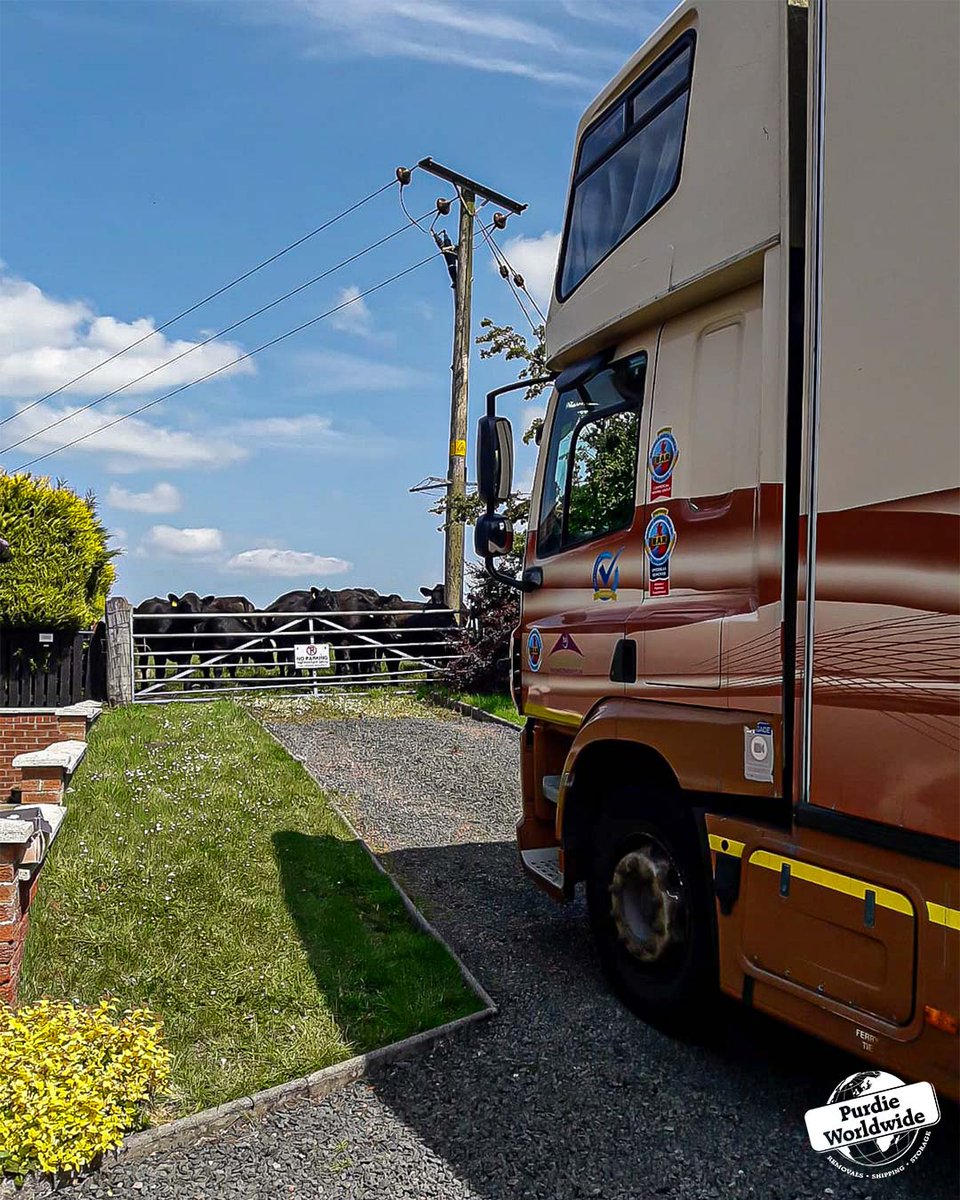 🚛🐄 "Moo’ve Over, We’re delivering a Sofa!"

Just your average day in rural removals – held up by a herd of cows 🐮
Nothing stops the Purdie team… except maybe Bessie.

Have a wonderful weekend, have a Great Galaday, and we'll see you on Monday!

#PurdieWorldwide