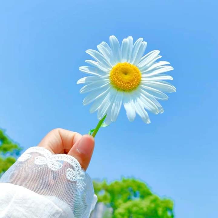 ہم اپنے آپ سے ملتے ہیں تو سنورتے ہیں
کسی کے واسطے یہ اہتمام تھوڑی ہے...🤍