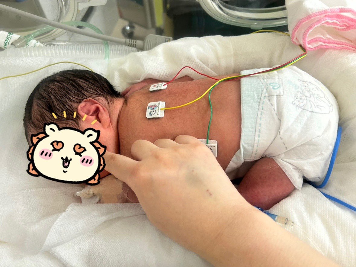 monamofumofu's tweet image. 〜猫関係ないです〜
飼い主、男の子を出産しました👶
(一時的にNICUに入っていますが元気です☺️)
しばらく低浮上になるかもしれませんが、新メンバーが加わったもなつむ家をこれからもよろしくお願いします🐱👶🐱