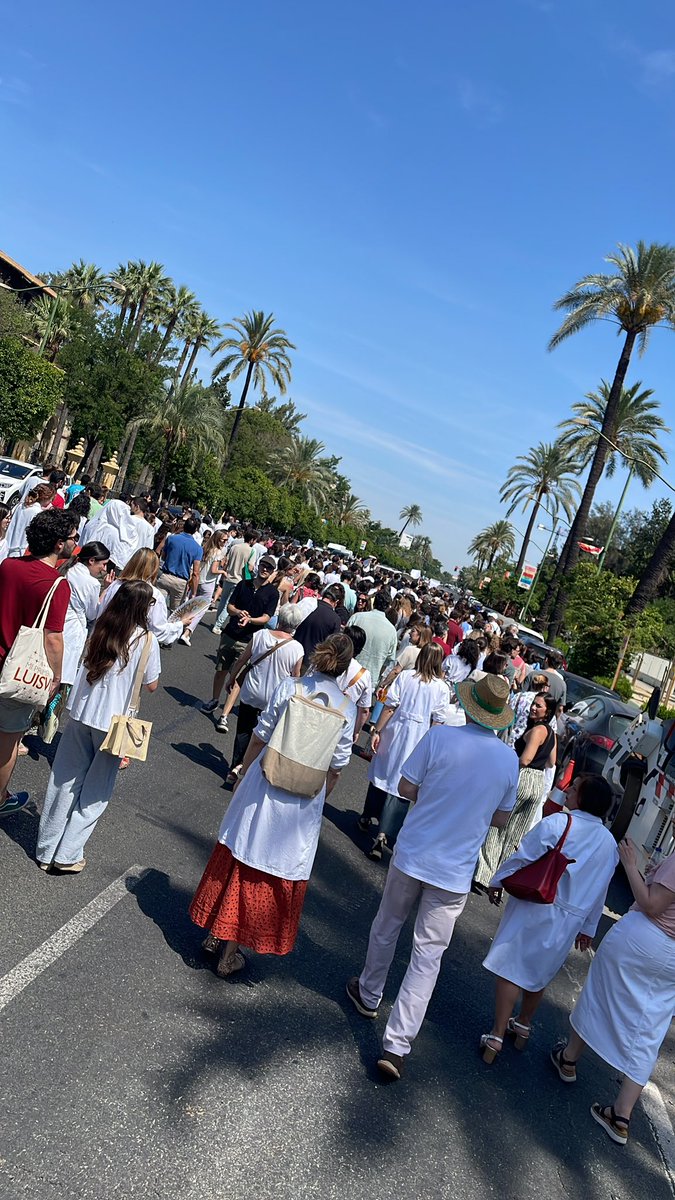 luibmu's tweet photo. En Sevilla, los médicos hemos parado #HuelgaMedica13J https://t.co/66wbZD36sB
