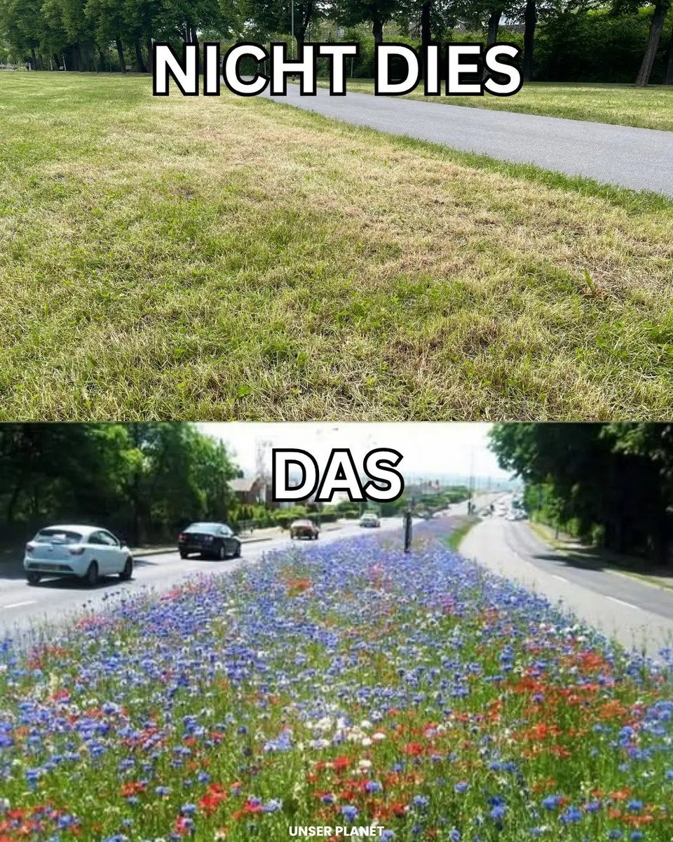 Keine Blüten. Keine Bienen. Keine Zukunft.