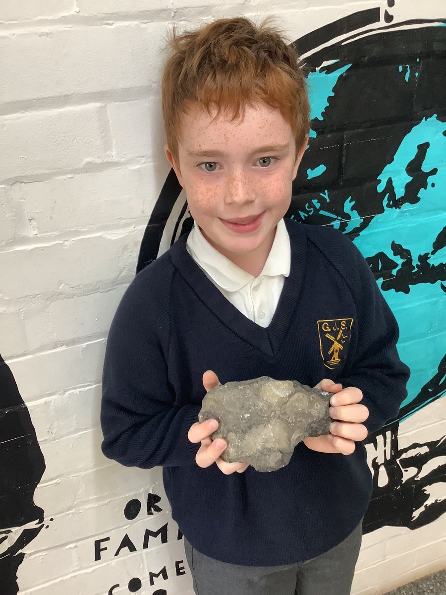 GreasbyJunior's tweet image. Year 4 have been learning about fossils for our explanation text in Literacy. Look at this amazing fossil that was found on a local beach near us! #GJS @OakTreesMAT
