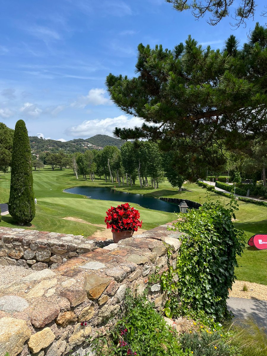 Avannubo tweet media