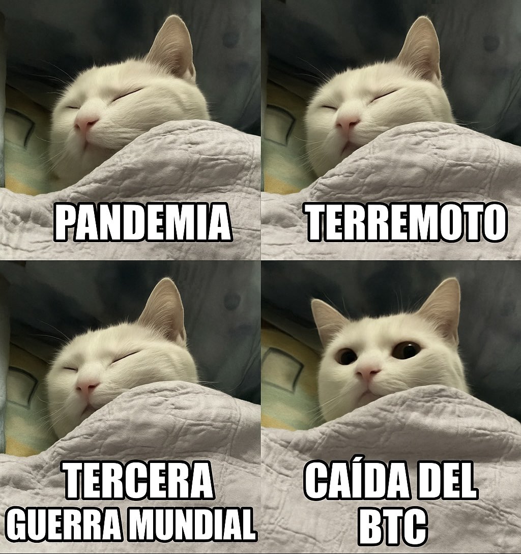 Sanramb0's tweet image. Así estoy yo #CriptoHumor #BTC