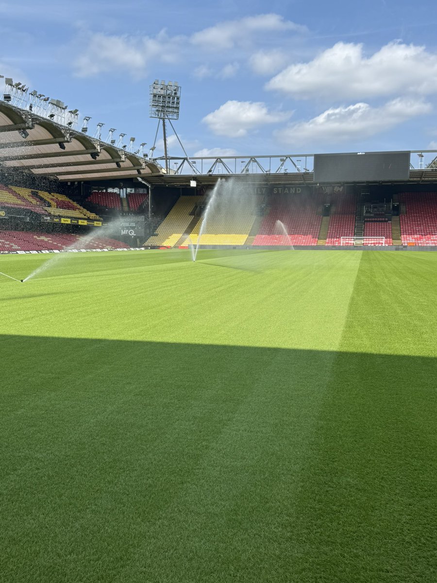 Training ground yesterday, stadium today! 
Pitch 5 - 7 weeks old and coming along nicely for pre season. 

Stadium - 3 weeks old and just starting to show density just waiting for feeds to kick in. Cut and Pro core today! 

Lads all happy and working hard in the sun 💪🏼