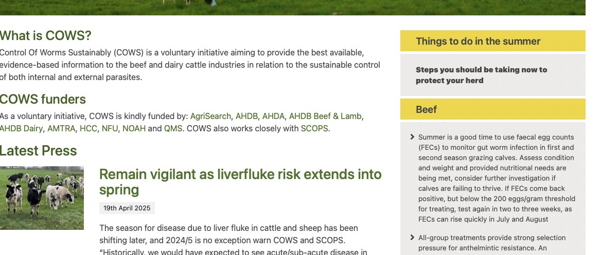 COWSworms's tweet image. The 'Things to do Now' panel on bit.ly/4mYC0fm
has changed to 'Things to do in Summer' eg, do Faecal Egg Counts for roundworms, use aftermaths for high risk animals, consider ways to reduce annoyance by flies #topicaltips