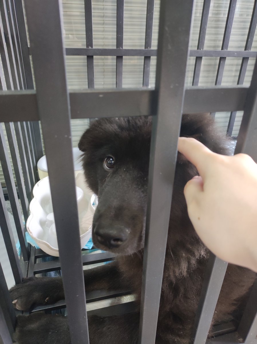 🙏蹭了大小姐老师好几顿饭呜呜 🥺大小姐老师人超好超级温柔🥺烤肉也超好吃！