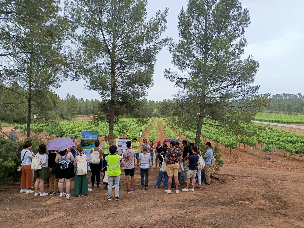🔚Cerramos la semana agradecidos y felices🥲 por el éxito del congreso #SECH2025 organizado por <a href="/GVAivia/">IVIA</a> y <a href="/UPV/">Universitat Politècnica de València</a>. Multitud de participaciones en permitieron poner la ciencia al servicio del sector. 
📒 Consulta el libro de resúmenes aquí:
➡️tinyurl.com/56upxy8r