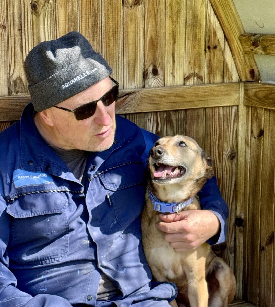 When you know you're in your #foreverhome

Whinnie and her Daddy 😍

#dogs #adoptdontshop #dogsofbs #dogsofinsta #dogsofx #dogsofinstagram #dogrescue #loveatlast #happydog