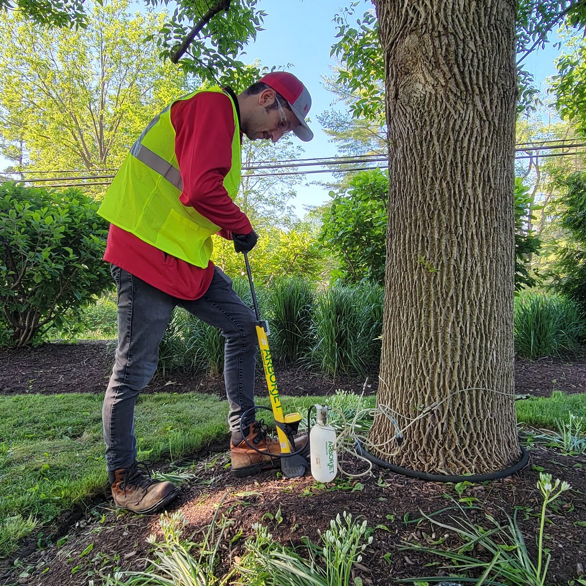 poulslandscape's tweet image. Tree check-in time 🌳🔍

Mid-season is key for pest control &amp;amp; health boosts.
Inspections + injections = strong, storm-ready trees.

📞 847-949-6667

#Poulslandscaping #TreeHealthCheck #PestProtection