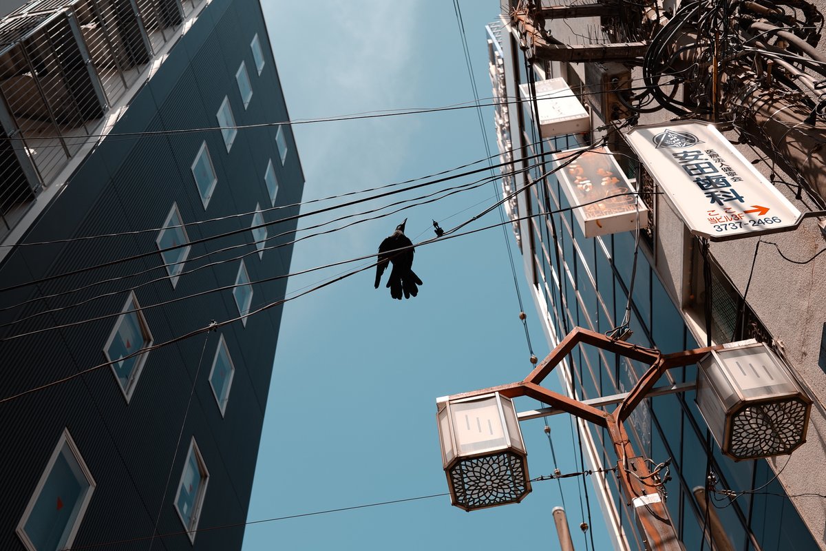 Sigma_Photo's tweet image. Sigma presents a gallery of images from the side streets of #Tokyo by photographer Naga Endo. This gallery features images shot with the #Sigma BF camera, along with its natural #streetphotography companion, the 35mm F2 DG | Contemporary lens.
bit.ly/sigma-bf-galle…
#SigmaBF