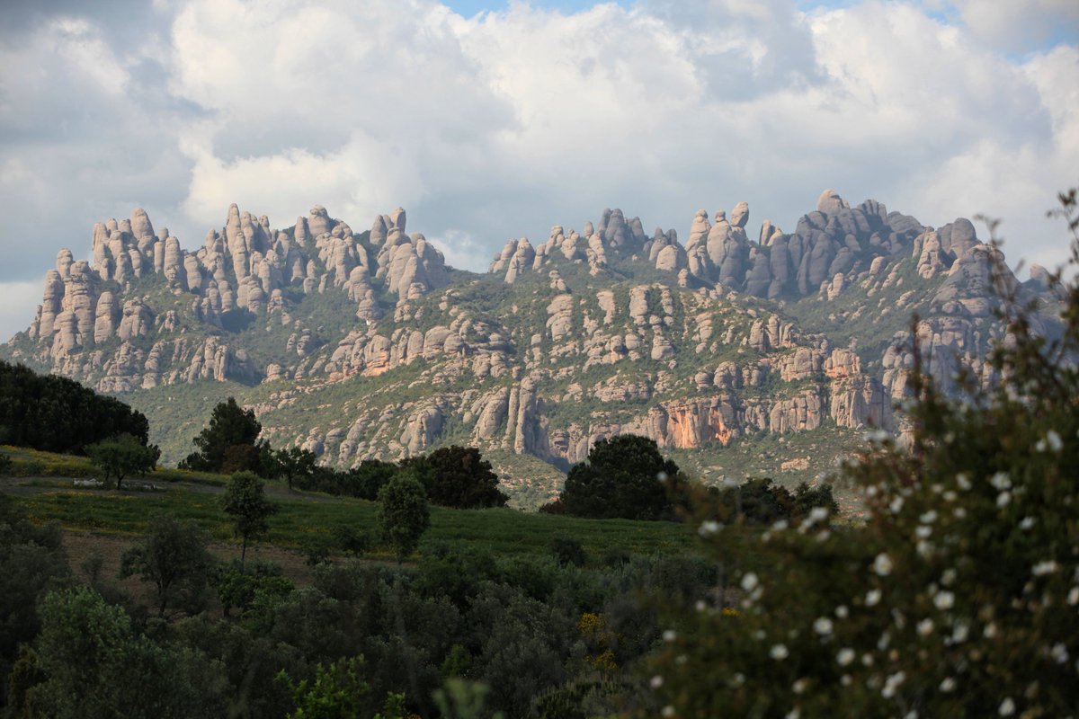 PNMontserrat's tweet photo. 🌡️ Destaca el confort tèrmic, amb temperatures per sobre del que tocaria en aquestes dates. 
☀️😅Calor acusada a cotes mitjanes i baixes, sobretot al migdia i al sol. 
🏃‍♂️No badeu si feu esforç físic intens i no esteu gaire entrenats. 
🧢Hidrateu-vos bé! 💧 
#Meteo #Montserrat https://t.co/Nm4xtp667S